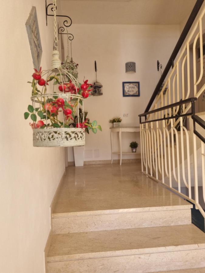 Appartamenti Stella Marina San Vito Lo Capo Eksteriør bilde
